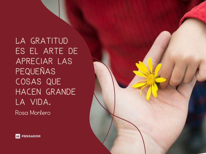 agradecimientos-y-dedicatorias-el-arte-de-expresar-gratitud